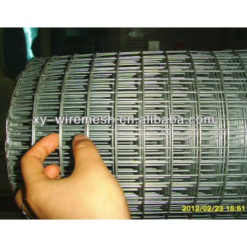 high quality galvanized Welded wire mesh(factory)